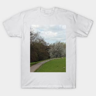 Fawsley Countryside Northamptonshire T-Shirt